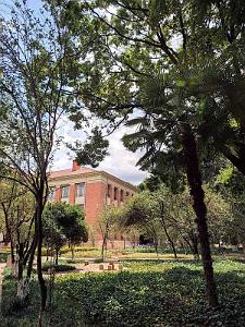 Kunming - Universite du Yunnan (49)